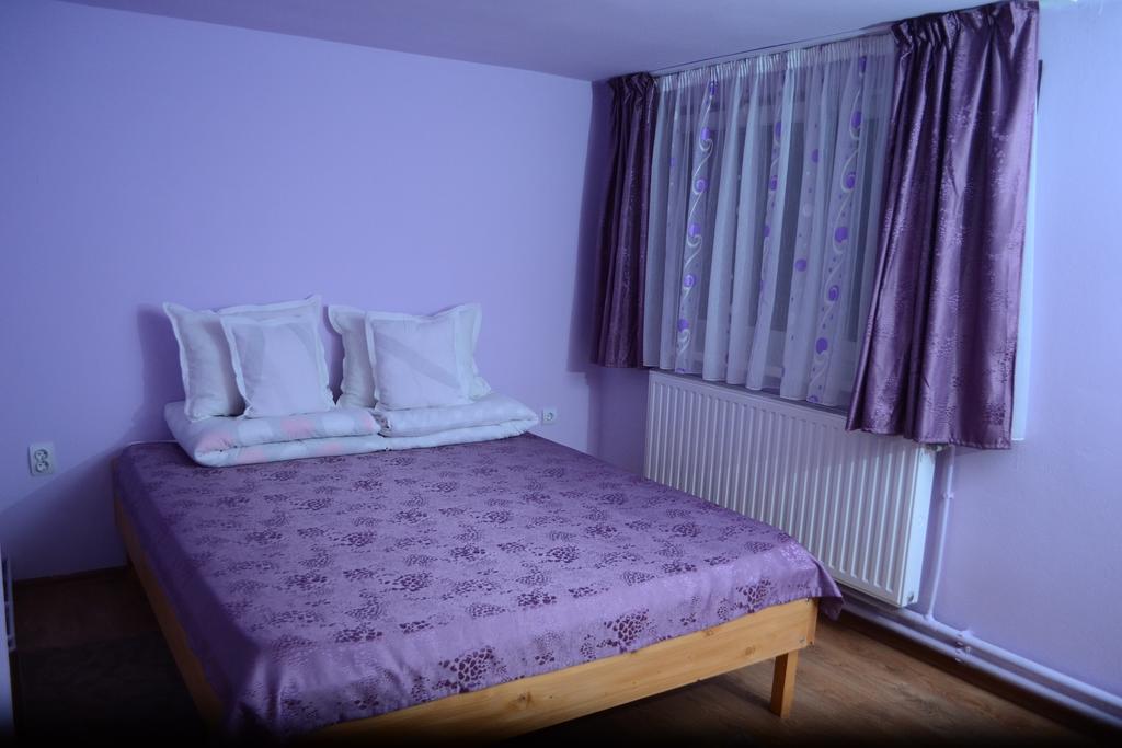 Ersa Panzio Hotell Bisericani  Rom bilde