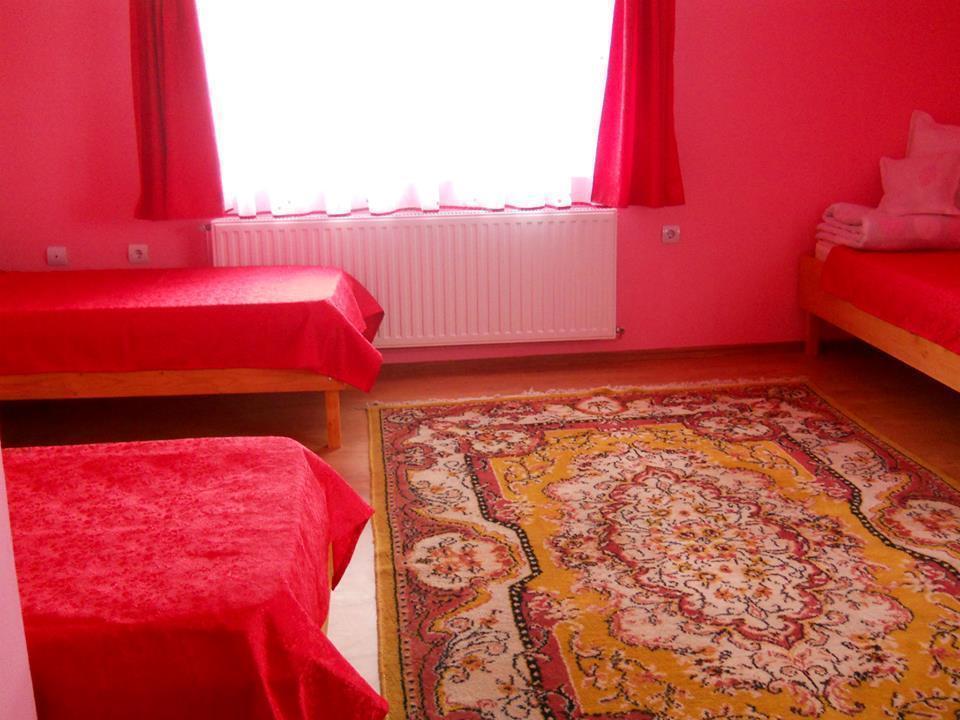Ersa Panzio Hotell Bisericani  Rom bilde